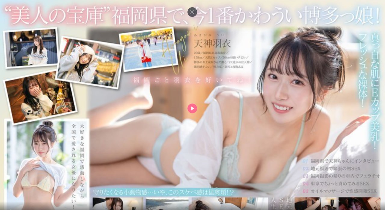 牛cd分享网記念ノンストップ